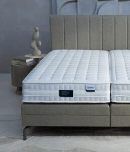 Ubica Festen Balance